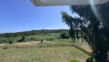 Blick vom Balkon ins Grüne