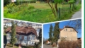 Collage