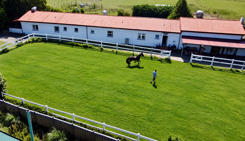 Reitanlage