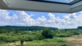 Ausblick