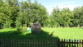 Garten/Wiese
